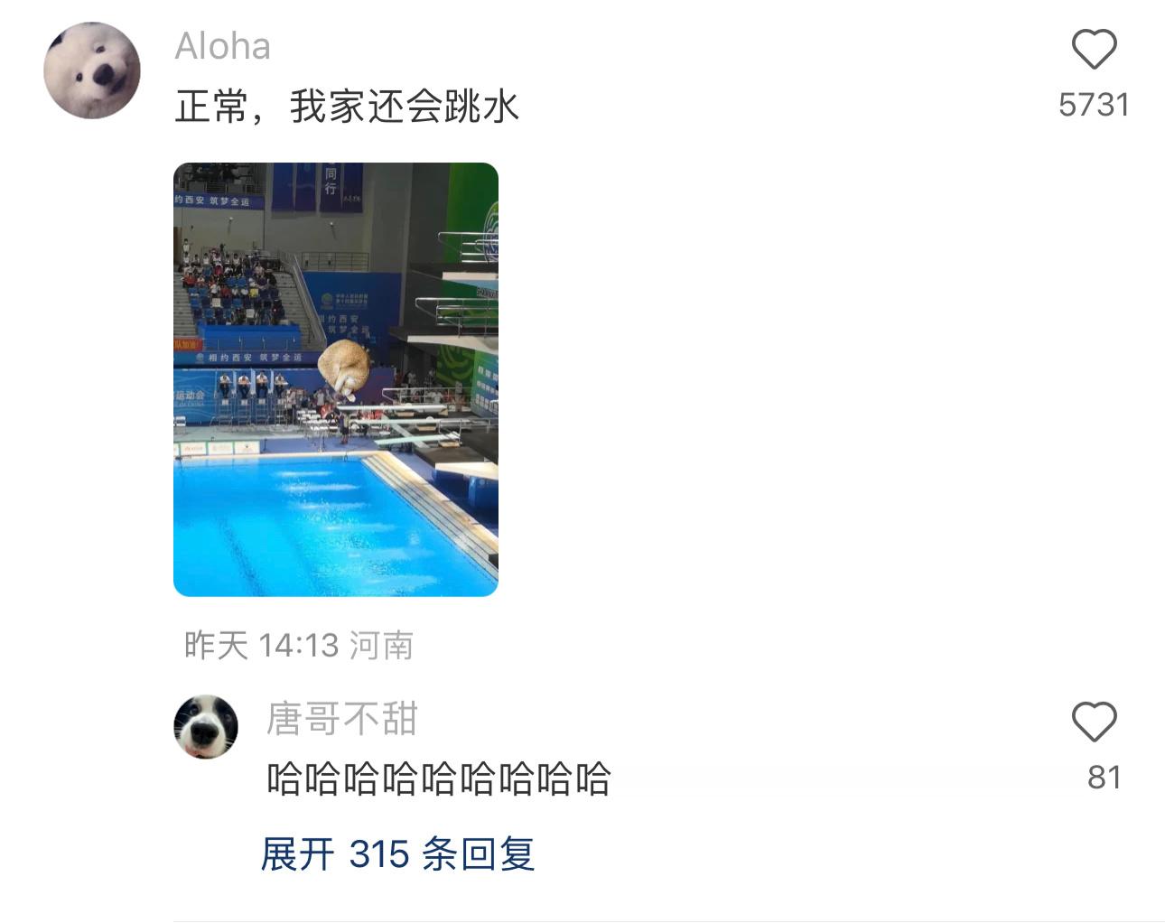 这猫跳水的姿势还挺标准 #搞笑# ​​​
