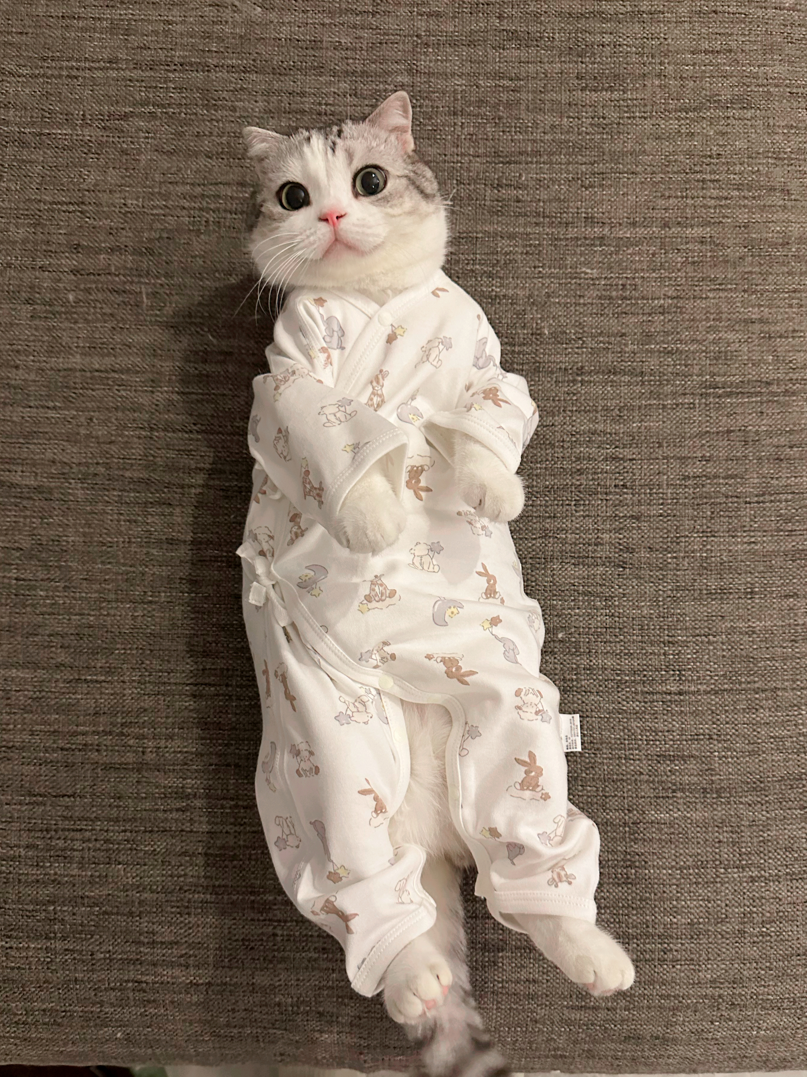 老师我家子涵衣服怎么没穿好？ ​​​