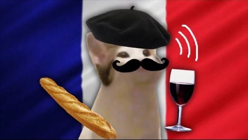 I组：法国，塞内加尔，玻利维亚/苏里南/伊拉克，挪威 