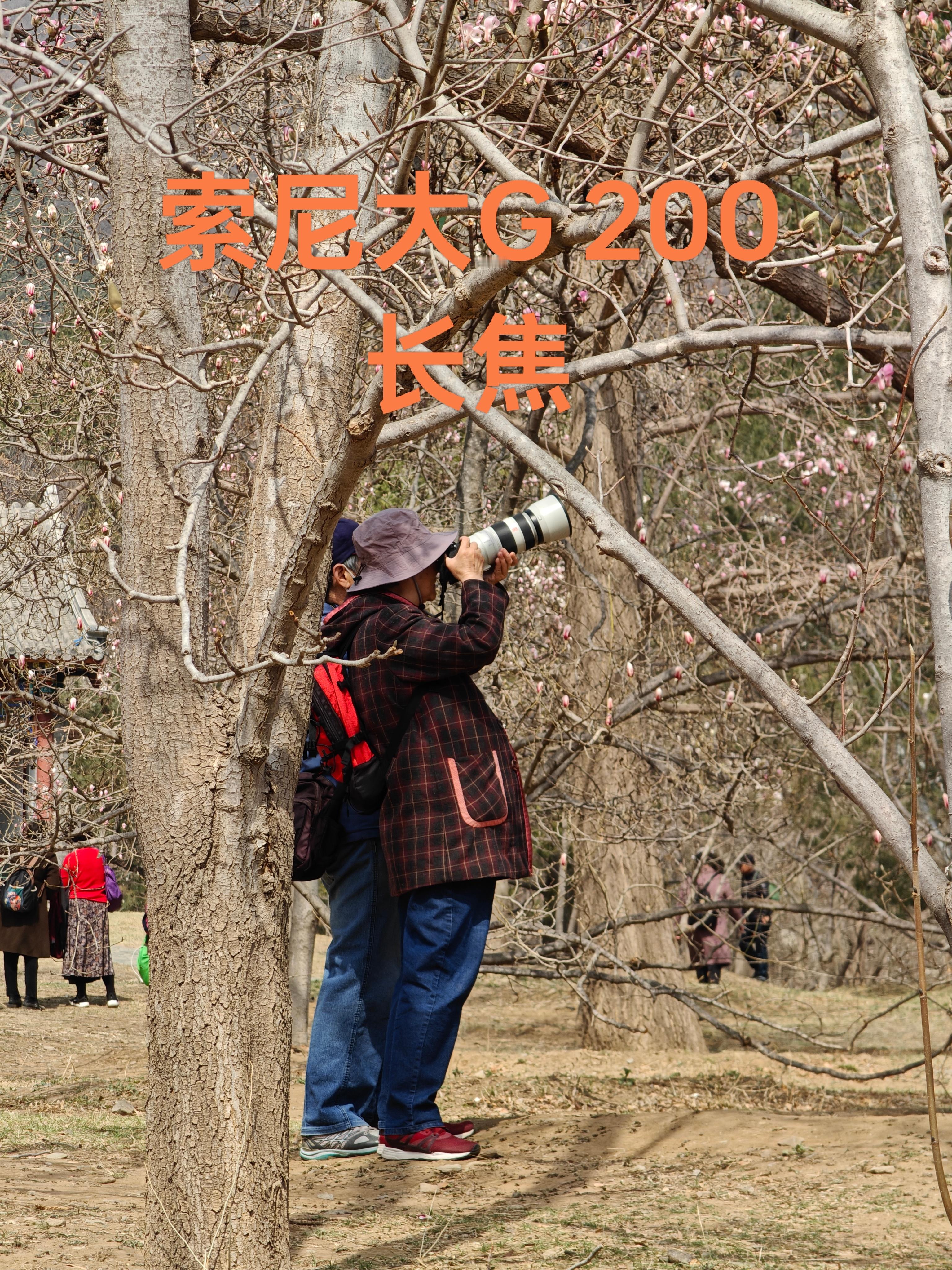 现在的影像手机都是卖给年轻人了？今天出来踏青，我发现带着长枪大炮的人还是有，但是
