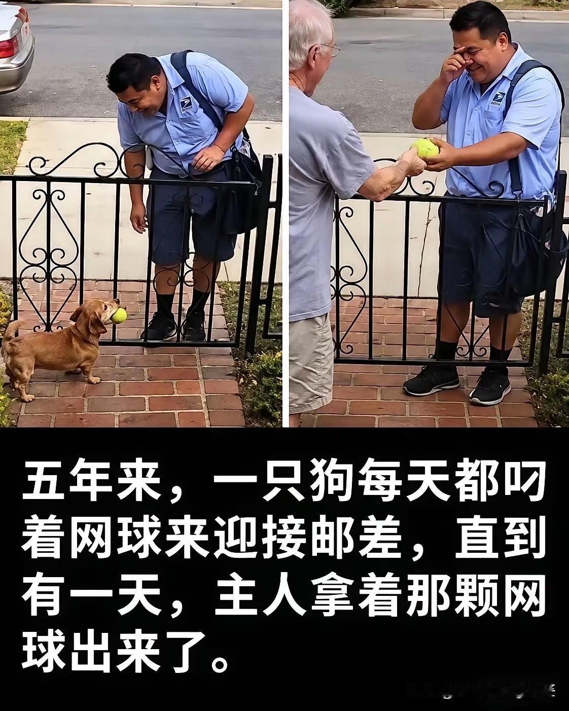 不怪大叔流泪，换谁都一样！[流泪]