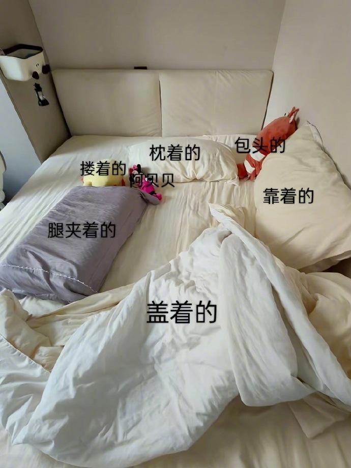 论当代年轻人最理想的睡觉方式，你们喜欢怎么组合？