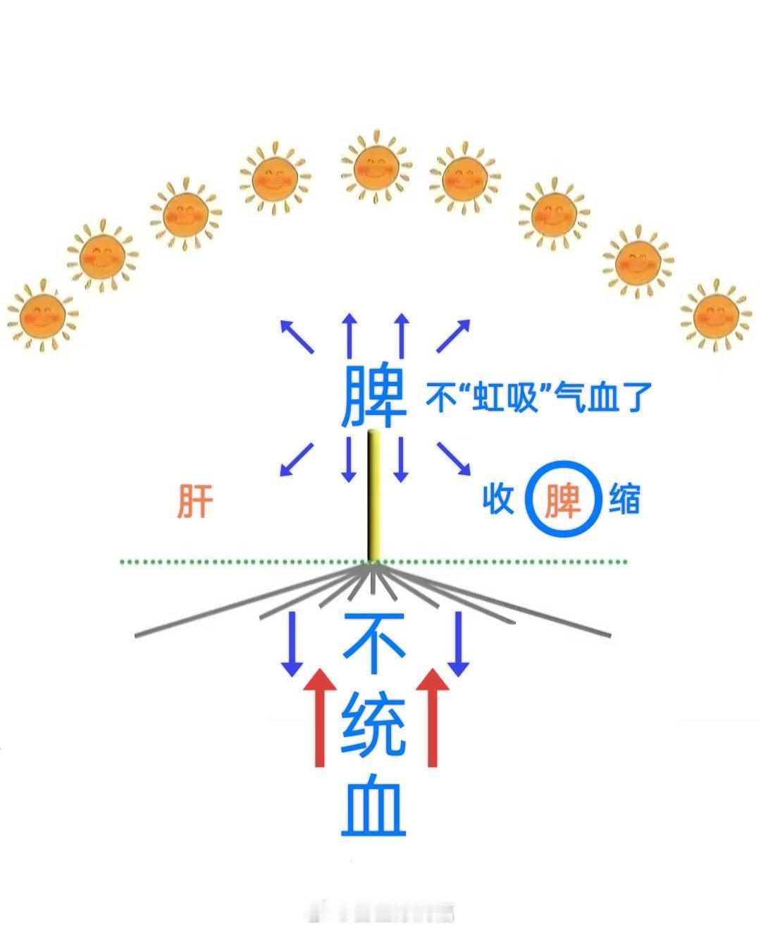 脾不统血，脾大力收缩，气血上逆下郁外散移到其他区域，一些区域装不下这么多外来气血