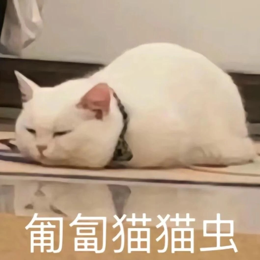 猫猫虫 ​​​