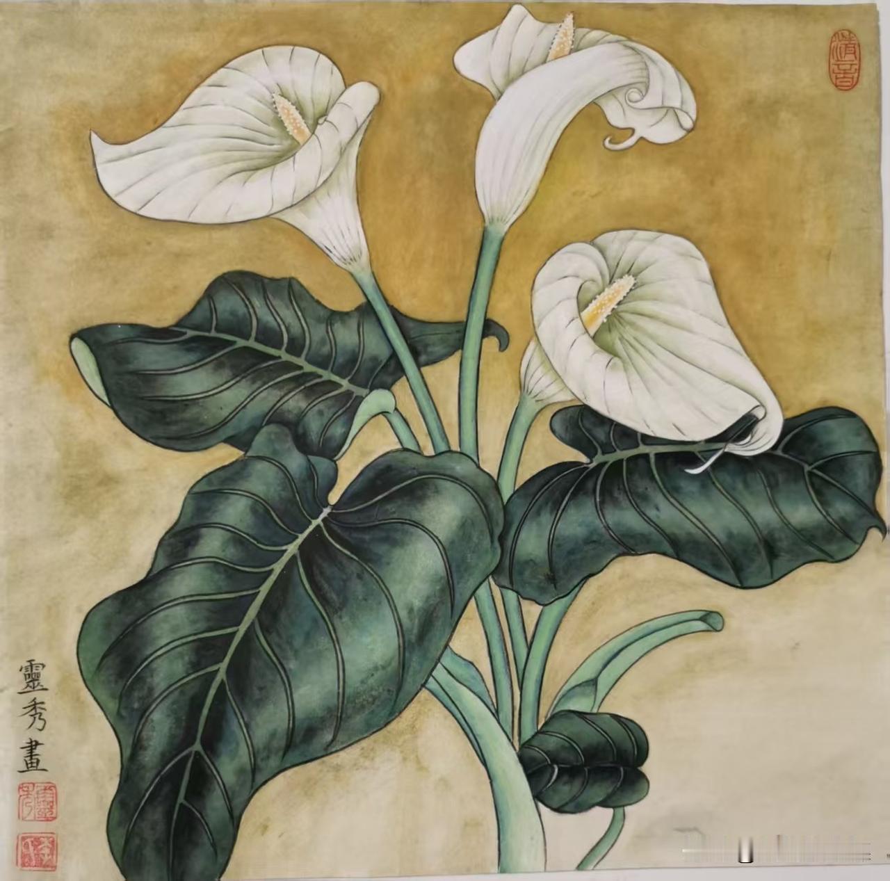 百花图（七）
诉衷情令  马蹄莲
文/李灵秀

馨香淡雅色幽清。端秀玉亭亭。品高