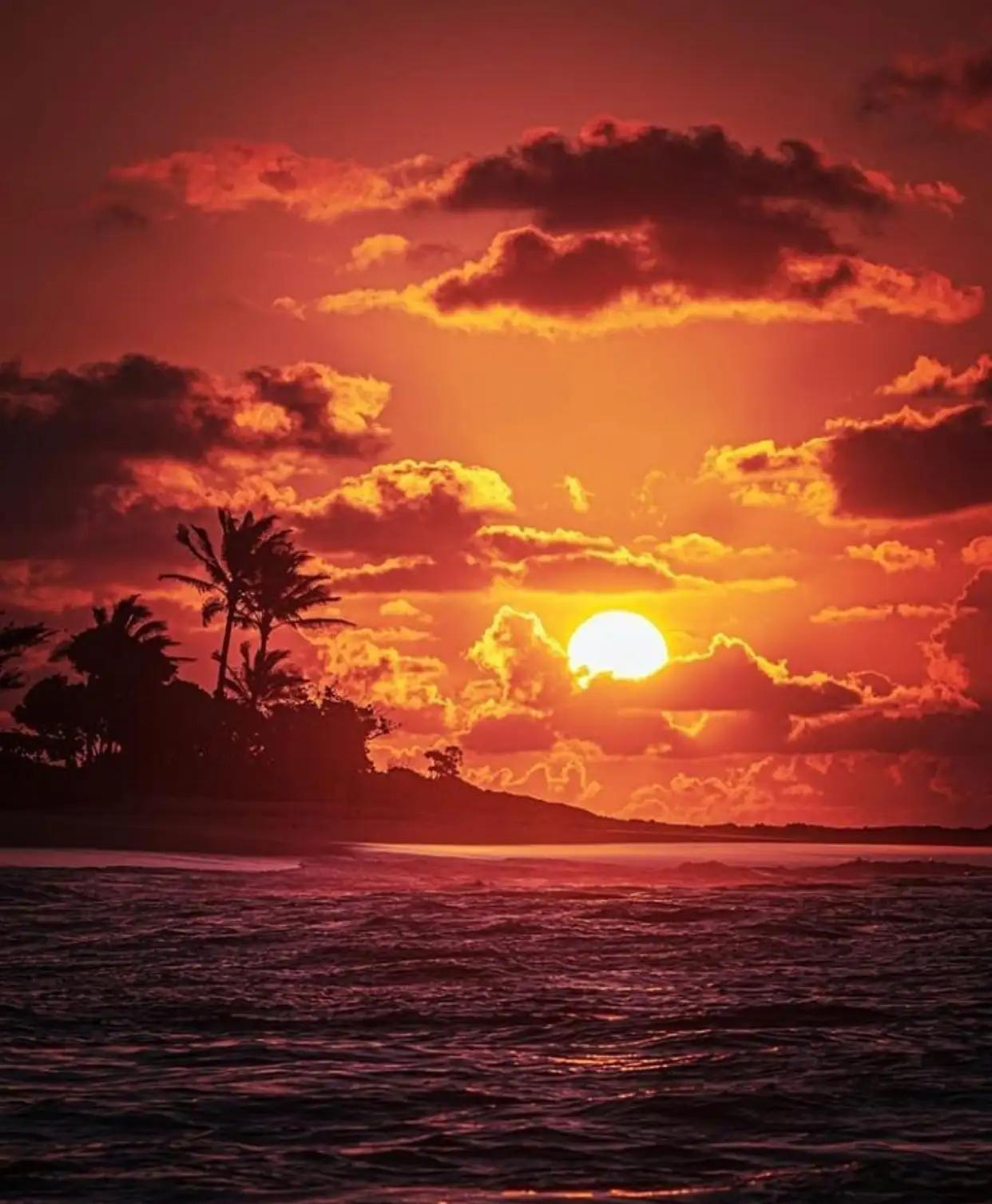 —-《人民日报》