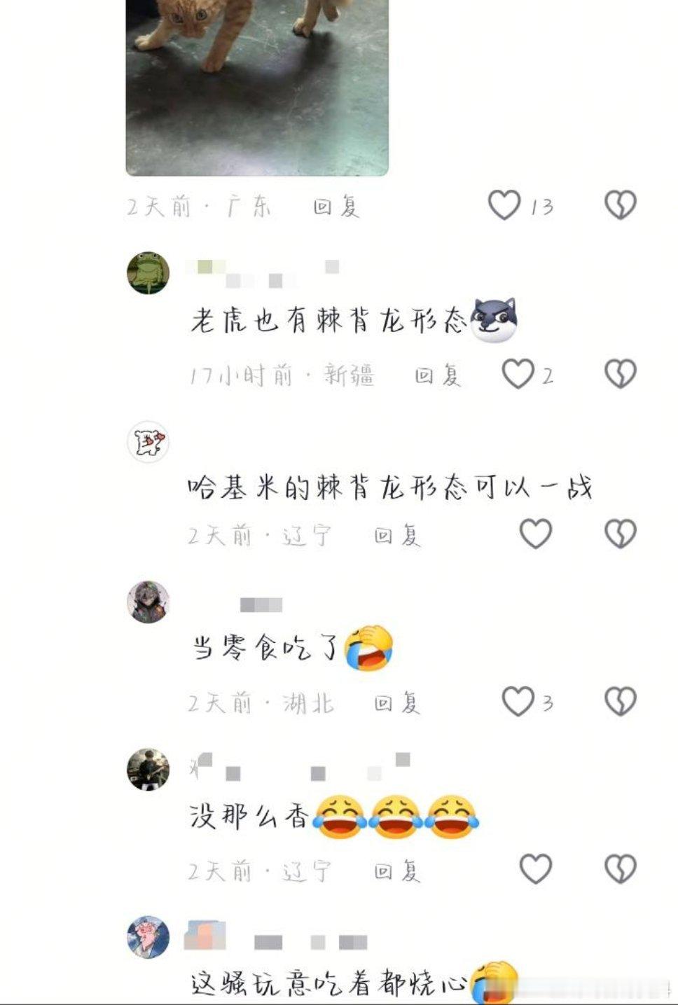 原视频拍了一只东北虎，结果评论区的恨猫br.又偷偷藏不住了 ​​​