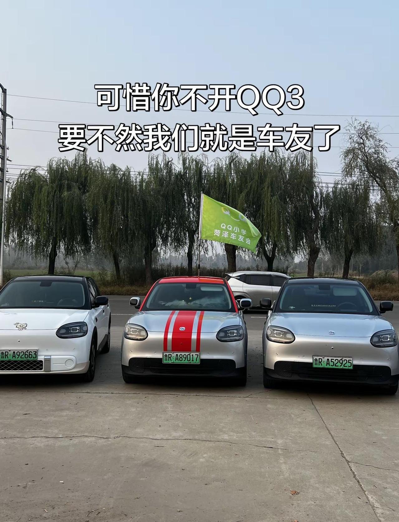奇瑞QQ小学第四届车友会当下年轻人需要什么样的车 国民代步小神车 适合女生开的小