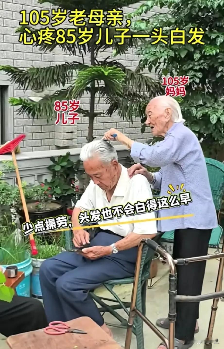 多么温馨的场面啊，不管你年纪多大，成就多高，在父母眼里永远都是小孩你们和自己的父