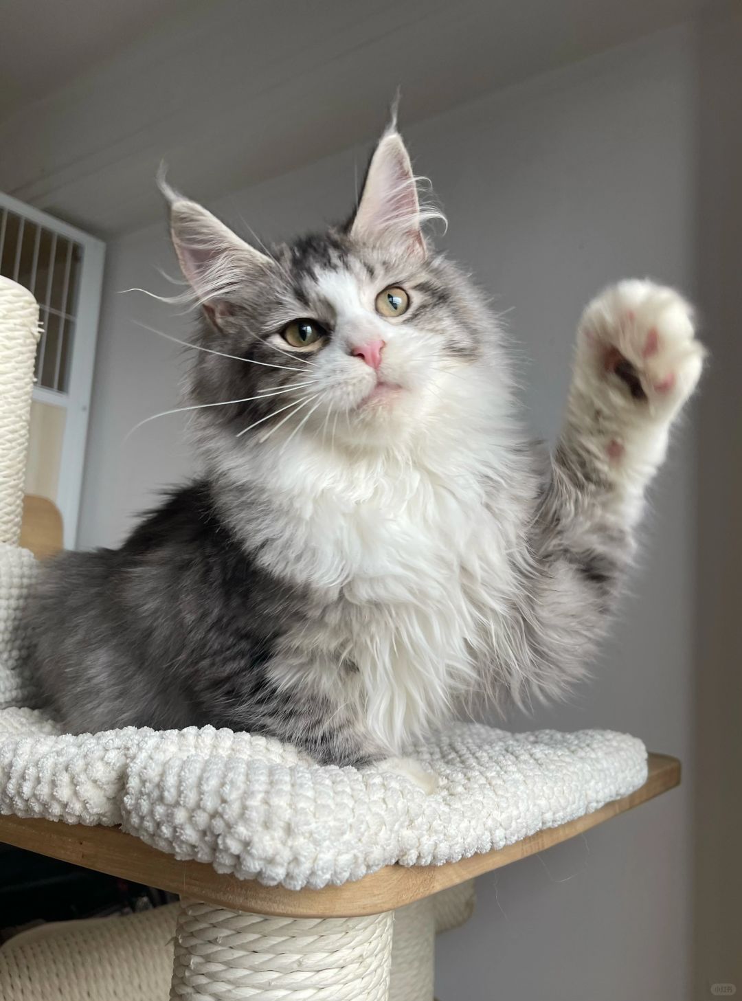 缅因｜我在等你带我回家呐！