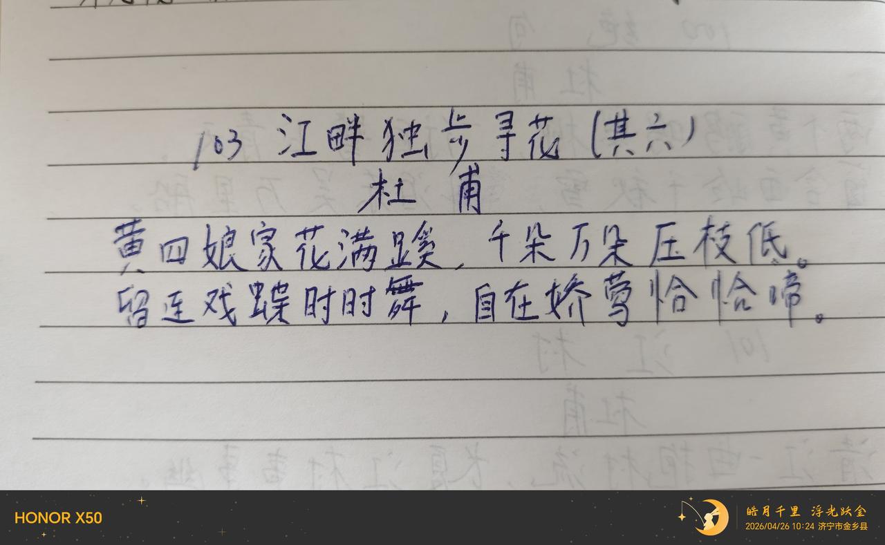 第103天，继续惬意的生活！