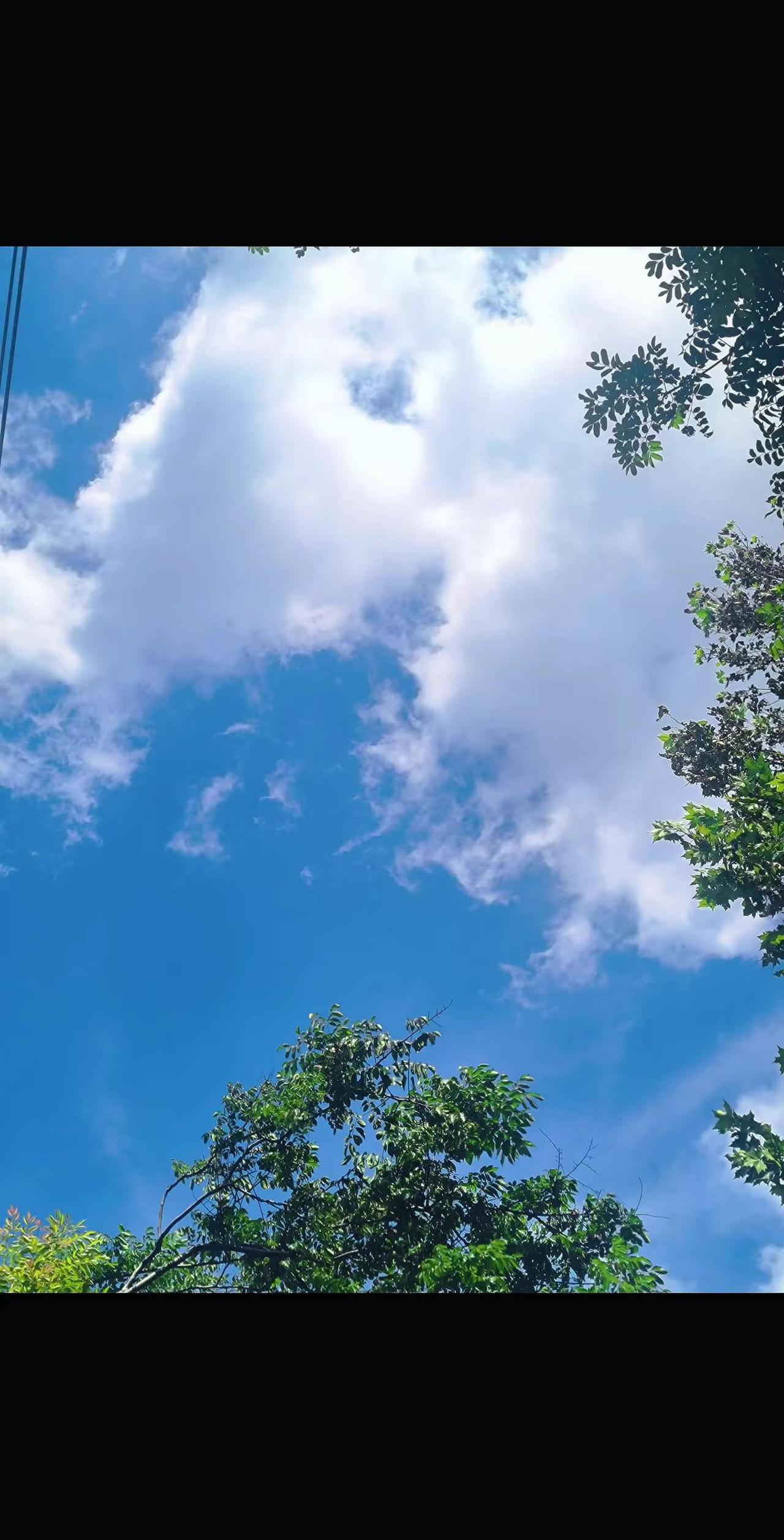 玩法合伙人计划 情绪音乐玩法新风向