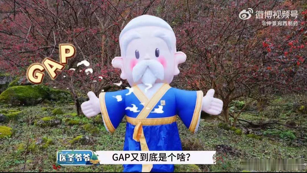 伏牛山的秋阳里，千亩山茱萸红透山岭，像一串串玛瑙缀满枝头，这是仲景宛西制药“药材