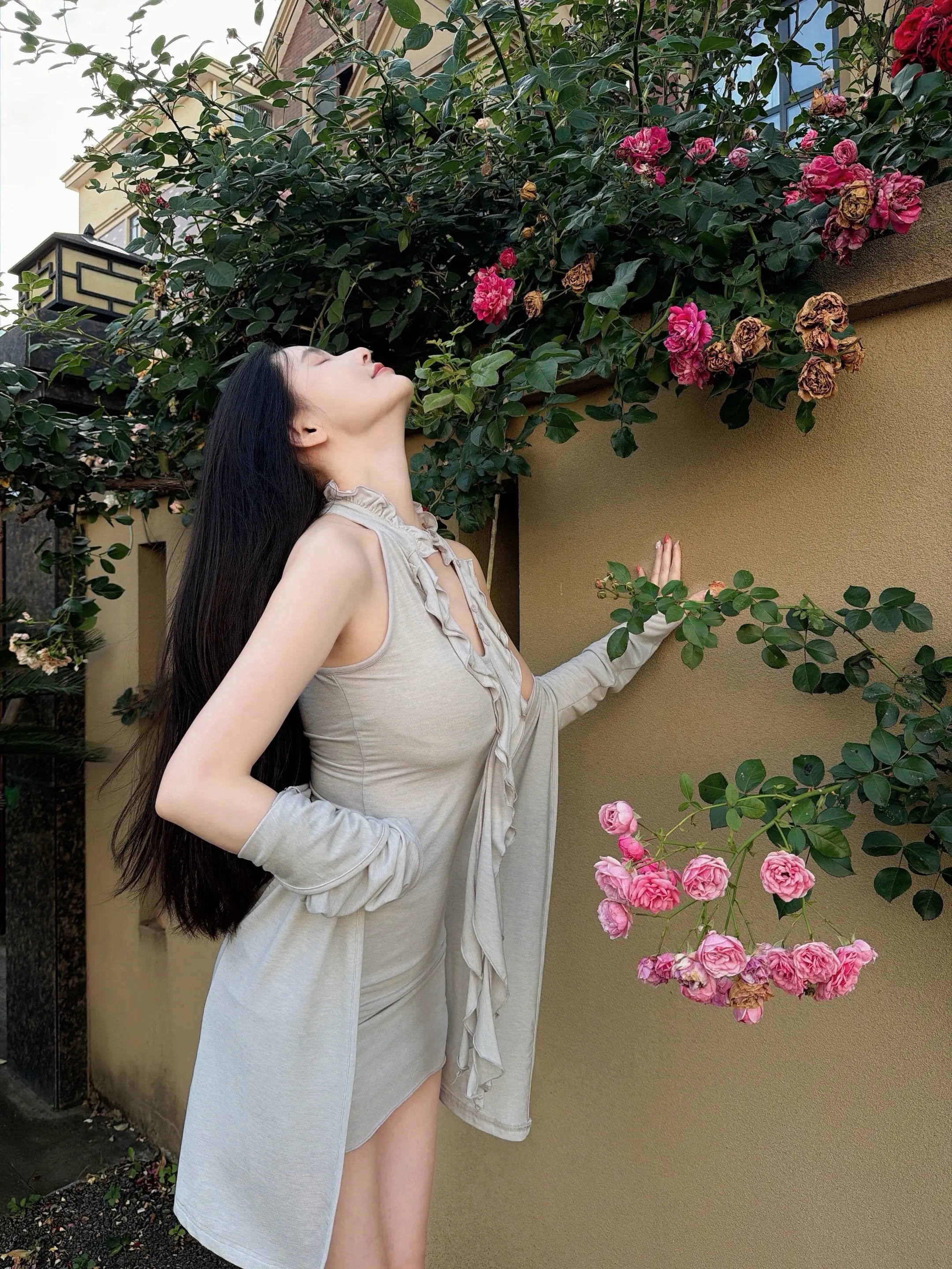 ｡˚ꕤ.ﾟ蔷薇开了一朵小花🌸。