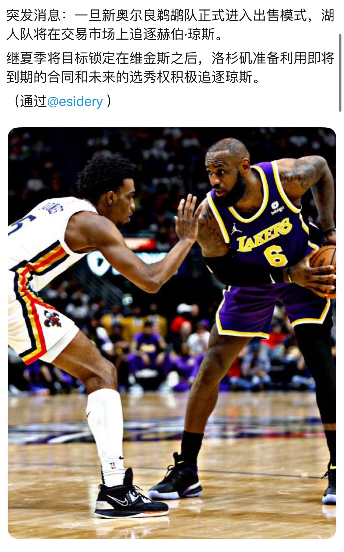 🤔洛杉矶湖人