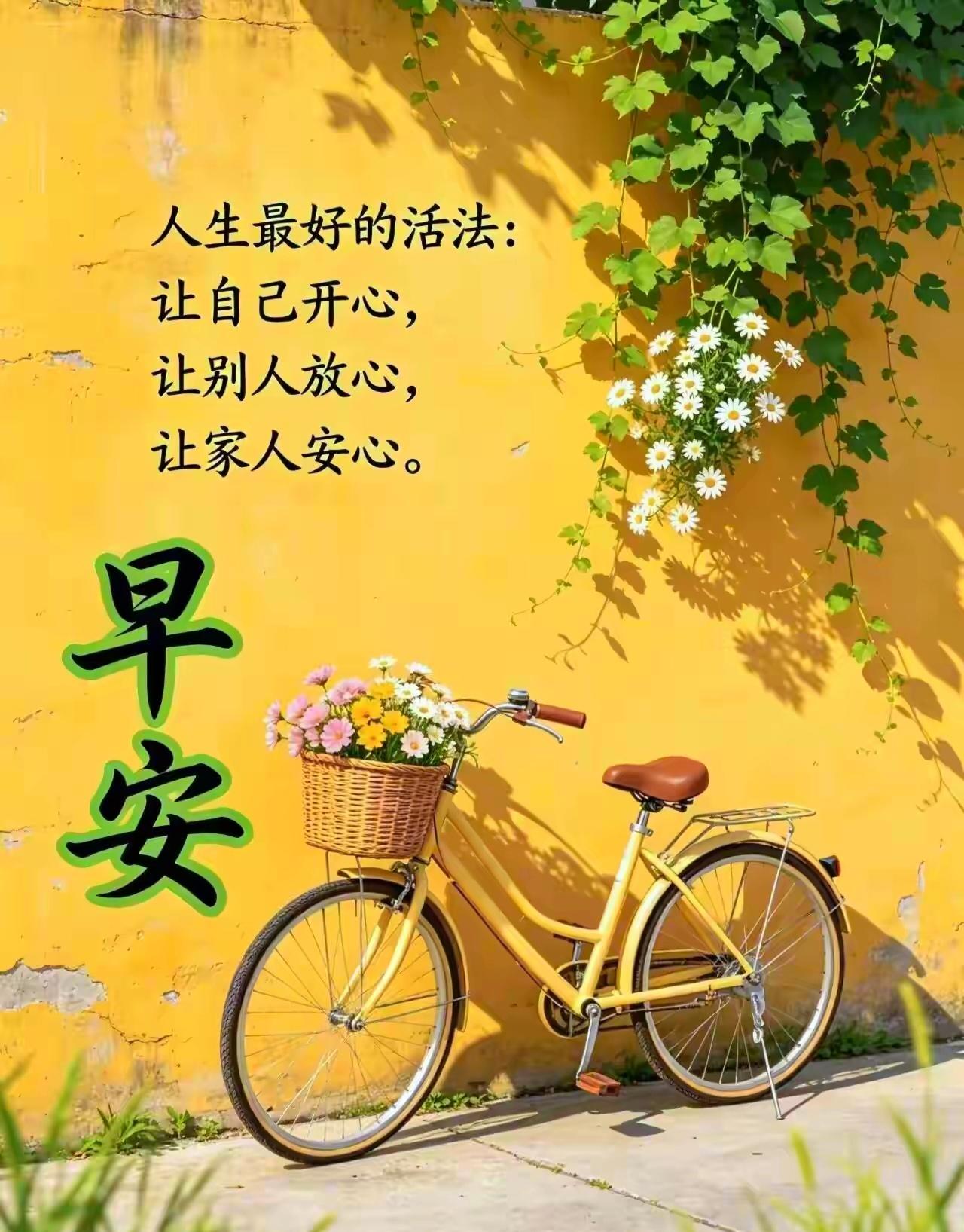 黄色单车堆满鲜花，墙边绿意盎然。早安！做自己的小太阳，愿你开心、放心且安心，把日