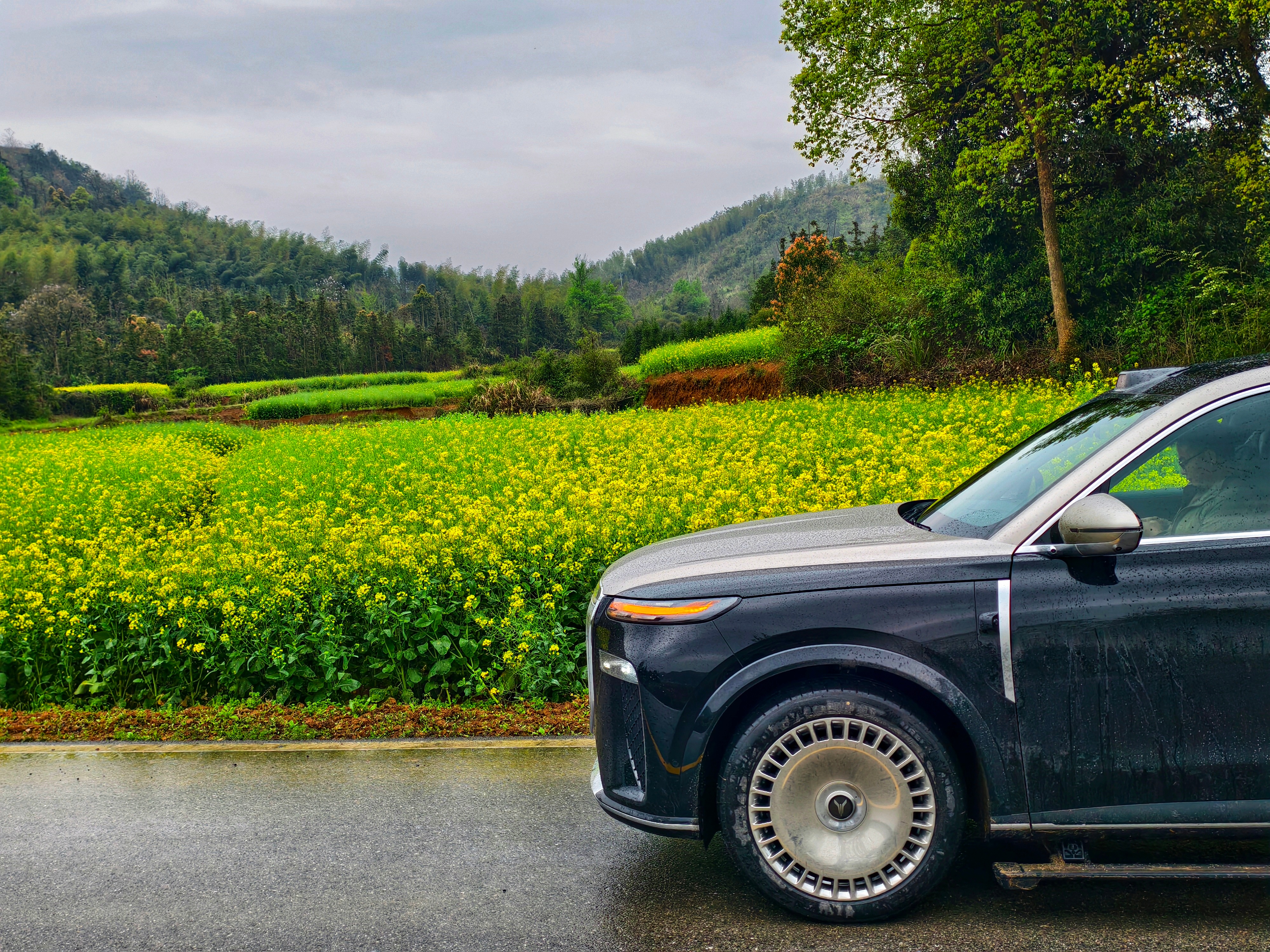 最近几天咸宁大部分时间都下雨，但是也不能阻挡我跑山的计划，试试岚图泰山作为一个S