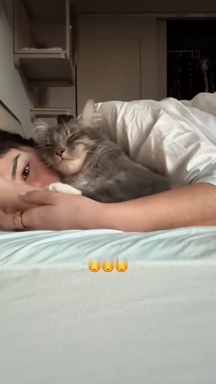 ·"Cuddle time"。
·scoop & roll。
·hug。
·Ki