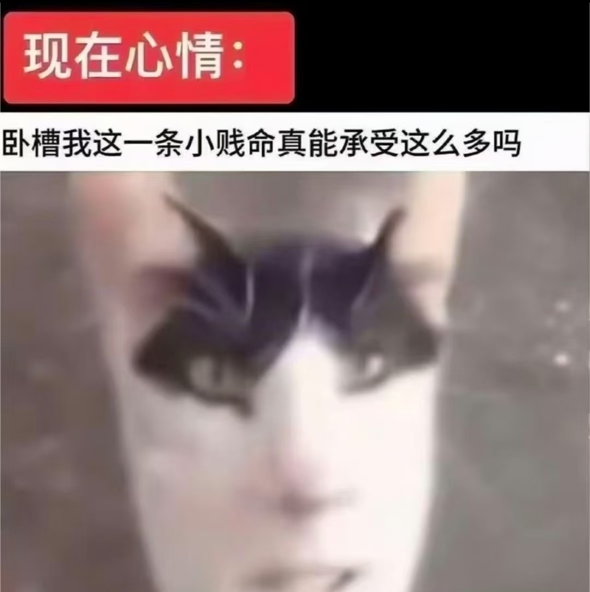分享图片 ​​​