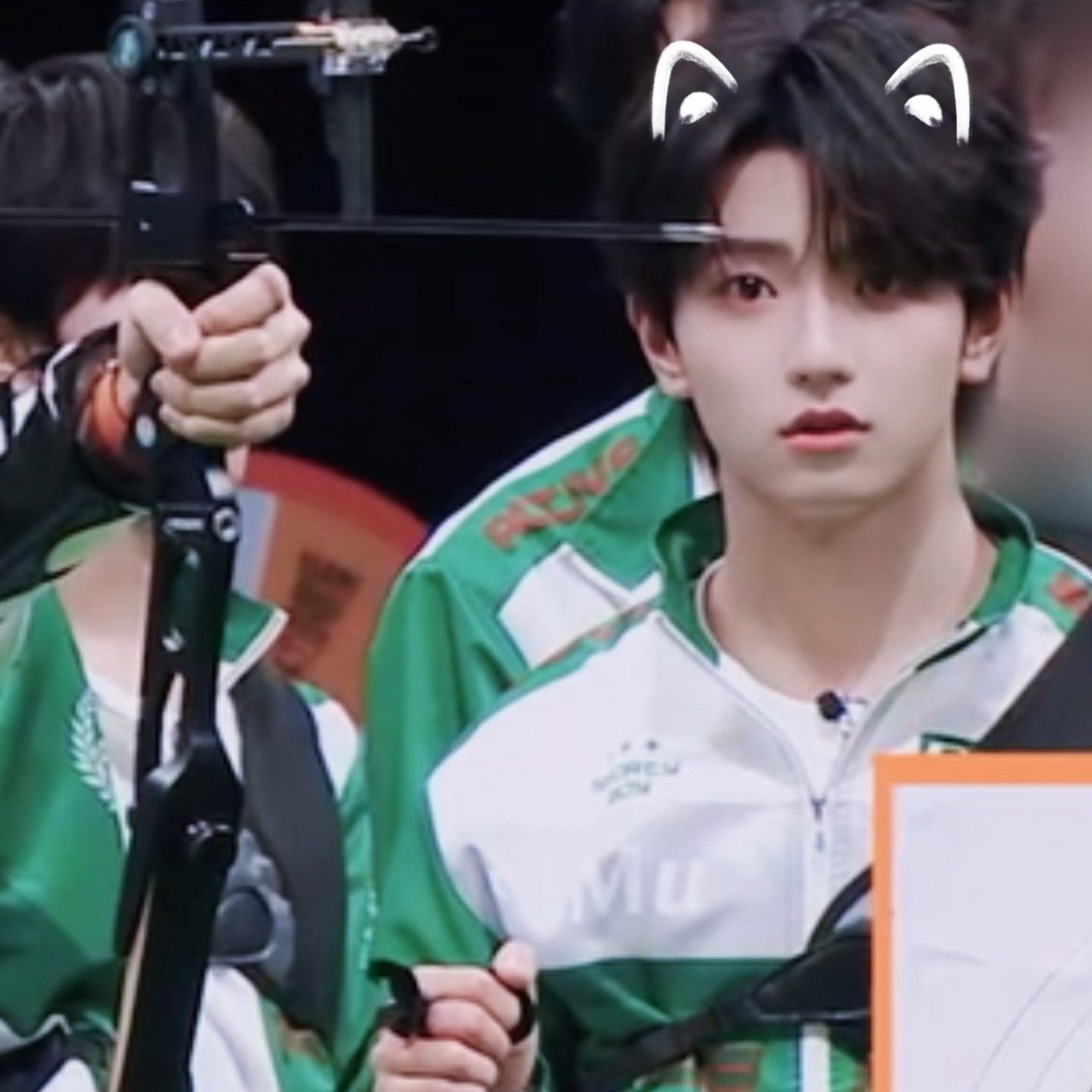 完全就是 小猫盯逗猫棒 