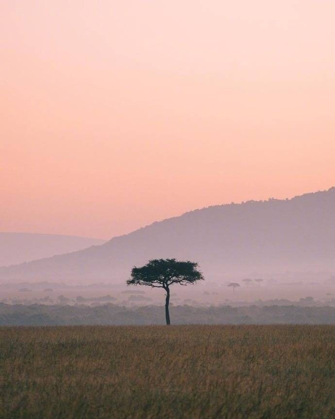 我不想成为上帝或英雄。只是成为一棵树，为岁月而生长，不伤害任何人。 |  米沃什