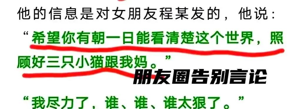 巴厘岛情侣是网上认识的，遇害当晚两人吵架男的发朋友圈，拜托女友照顾好三只小猫和妈