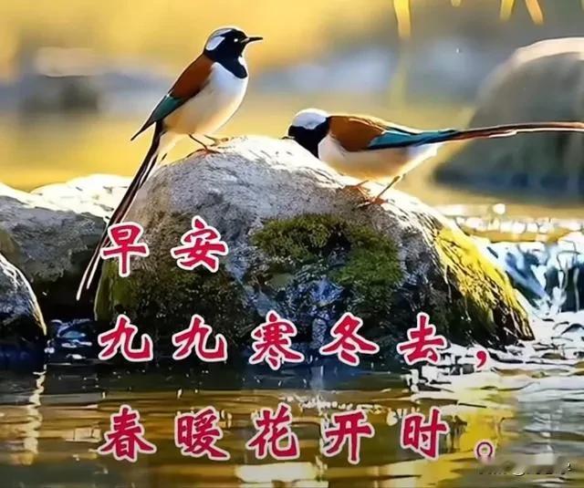 首发原创/刘忠学
文：鸟
人类朋友鸟儿美，种类繁多潇洒飞。
不同地区不一样，让人