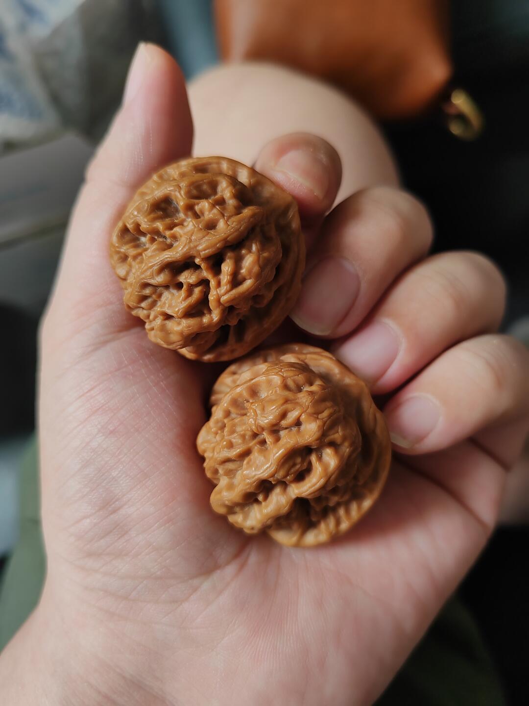 有人知道这对核桃什么品种吗？感谢