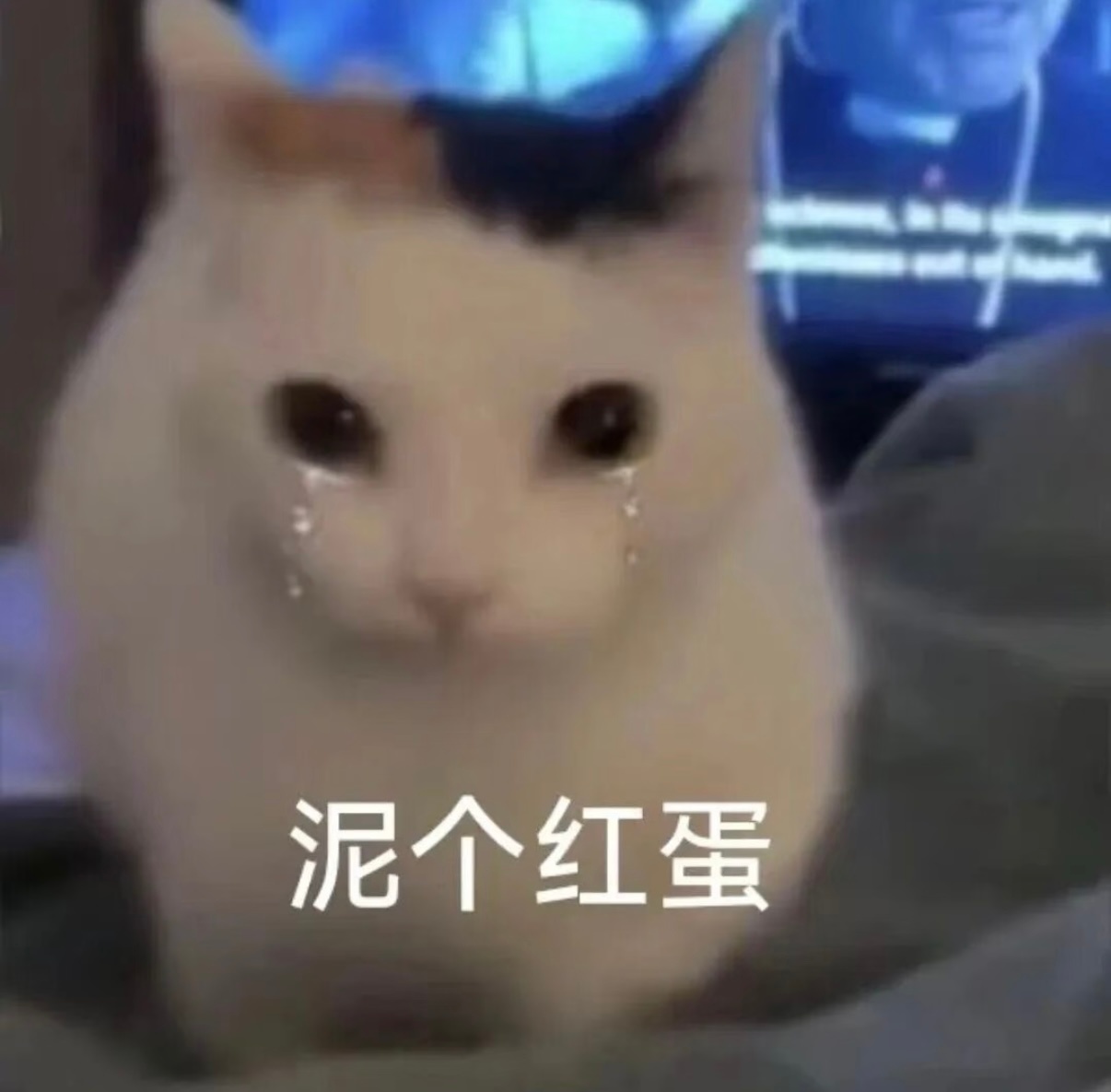 问题不大每天都来抽总会齐的[兔子][兔子][兔子] ​​​