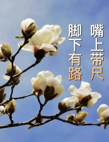 人的嘴巴，一是吃饭，二是说话。
三年学说话，一生学闭嘴。
现在我们就来聊聊说话：