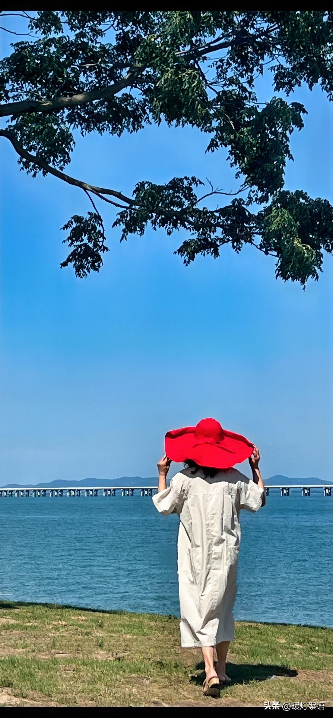 夏天来了，出门逛却发现一件怪事，想想还挺有意思。

这天气一天比一天热，按常理来