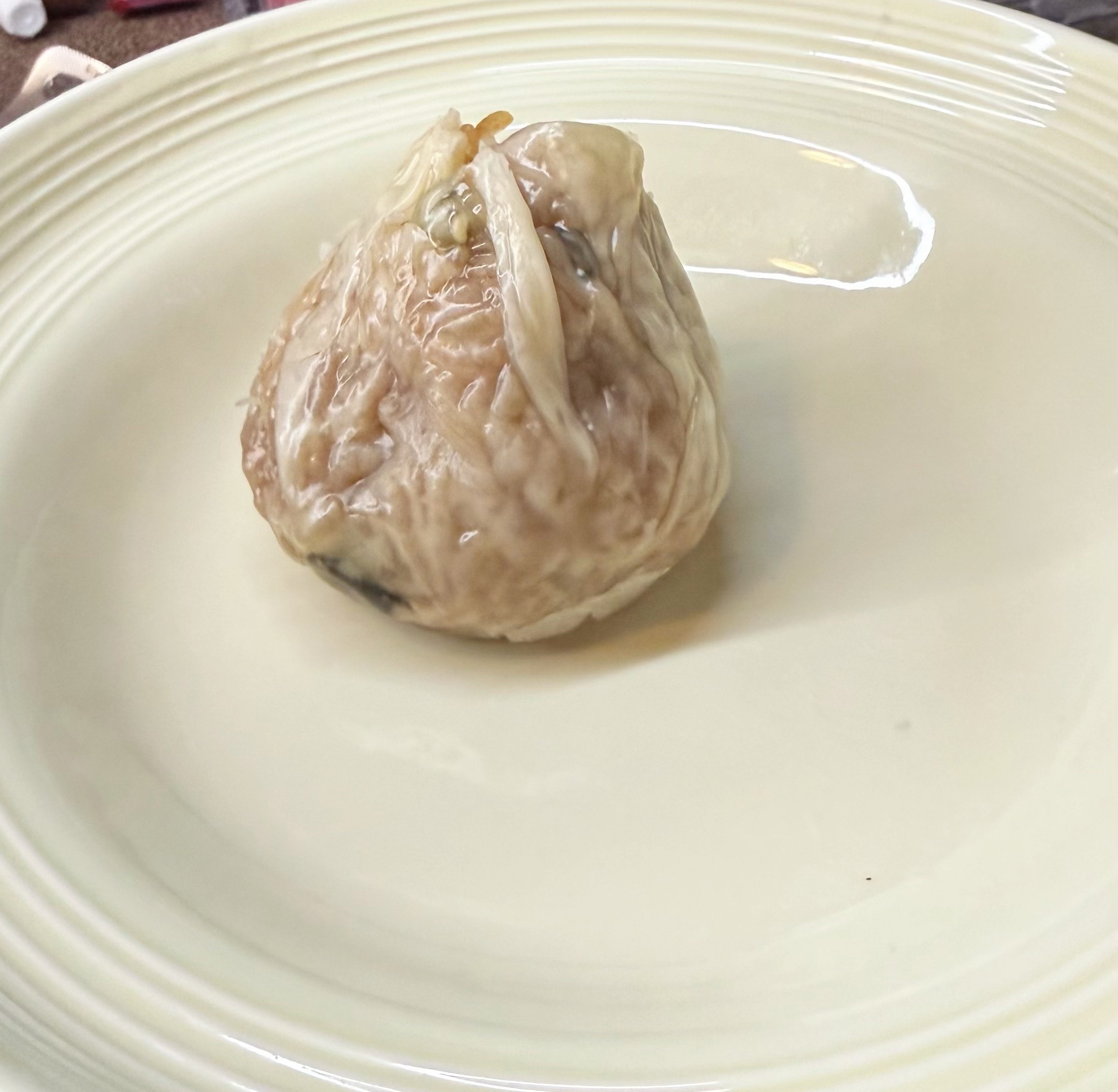 美美给自己热了个自己做的烧麦当晚饭吃😍 