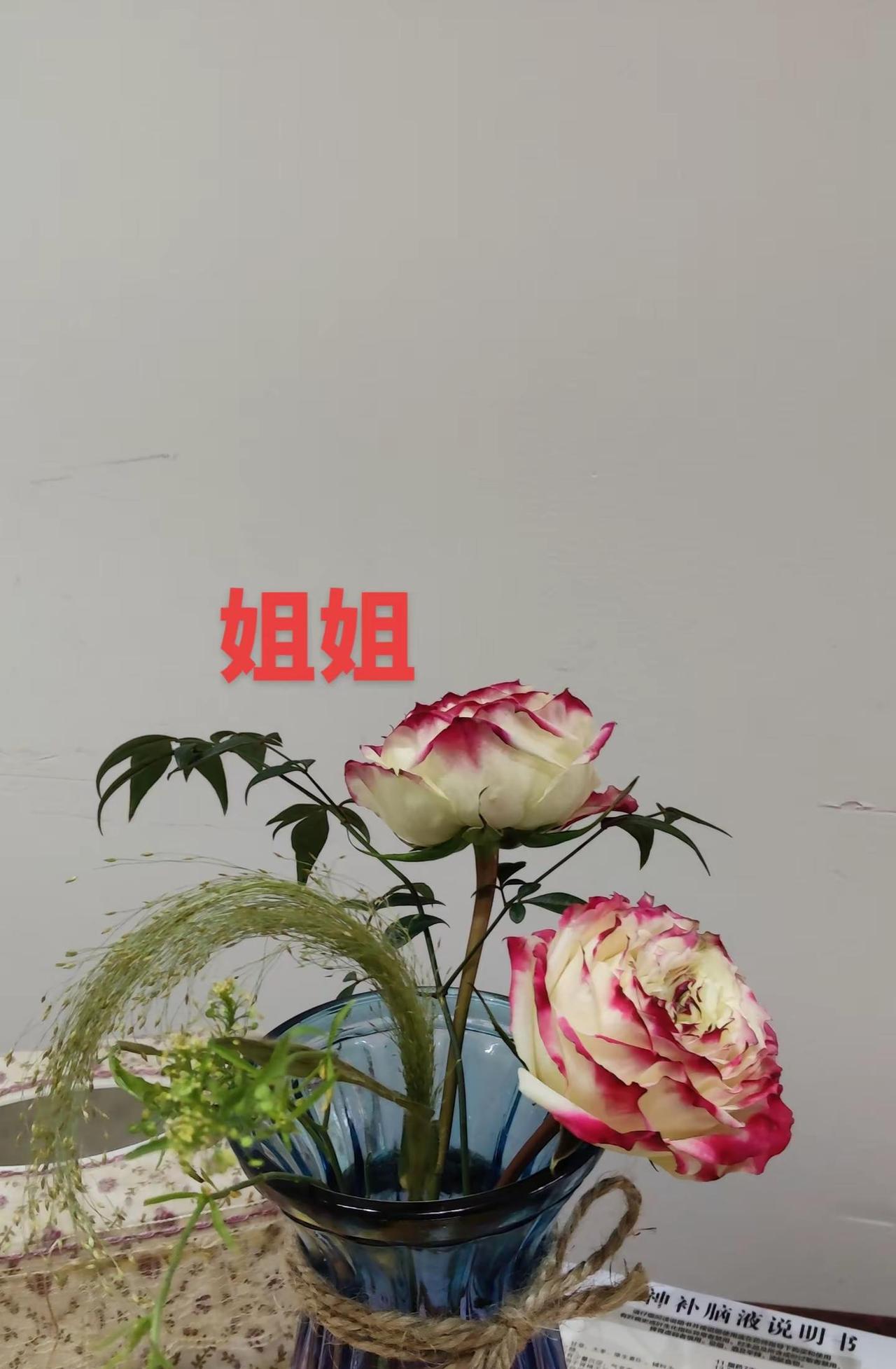 苹果杰克玫瑰。苹果杰克玫瑰 爱生活爱养花 吴宜泽夺冠！恭喜这位00后小将获得斯诺