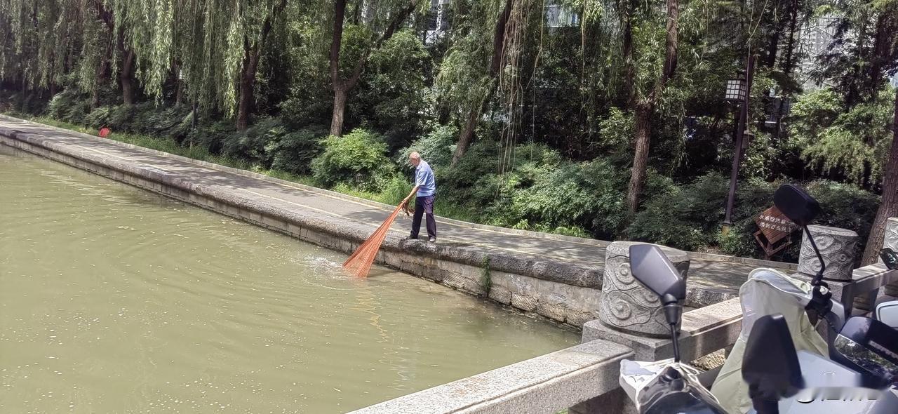 大哥，这可是城市闹市区的景观渠，不是鱼塘，更不是自然河湖。
河渠监管部门是不是也