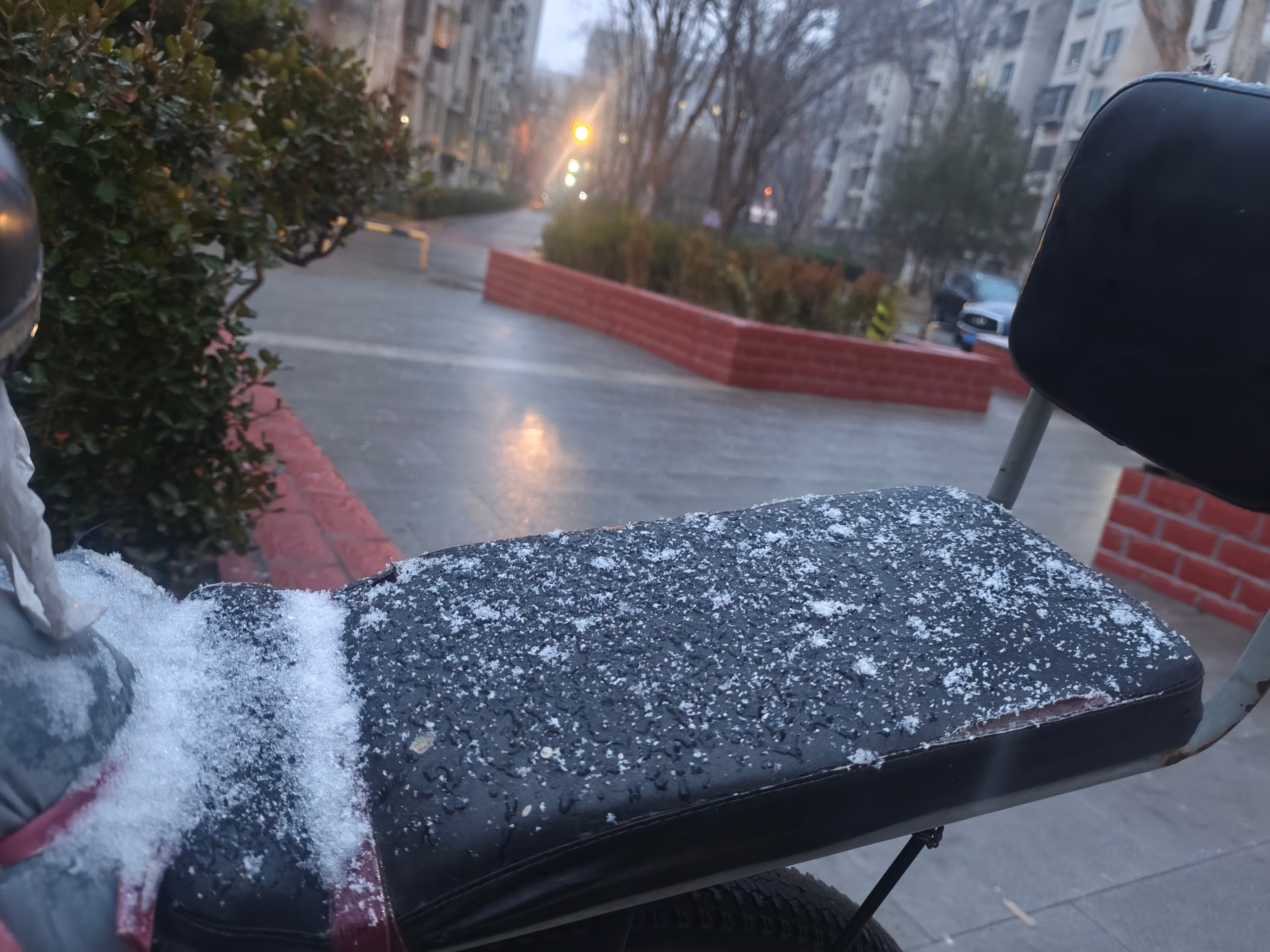 昨日黄昏，北京开始下雪。今晨起来，看到春天的银装素裹。今天是惊蛰，这大雪导致天寒