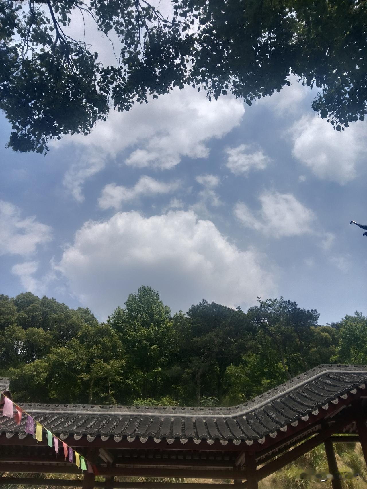 “合肥模式”还有两个前提条件。安徽省做大省会的政策，为合肥的发展提供了省级层面的