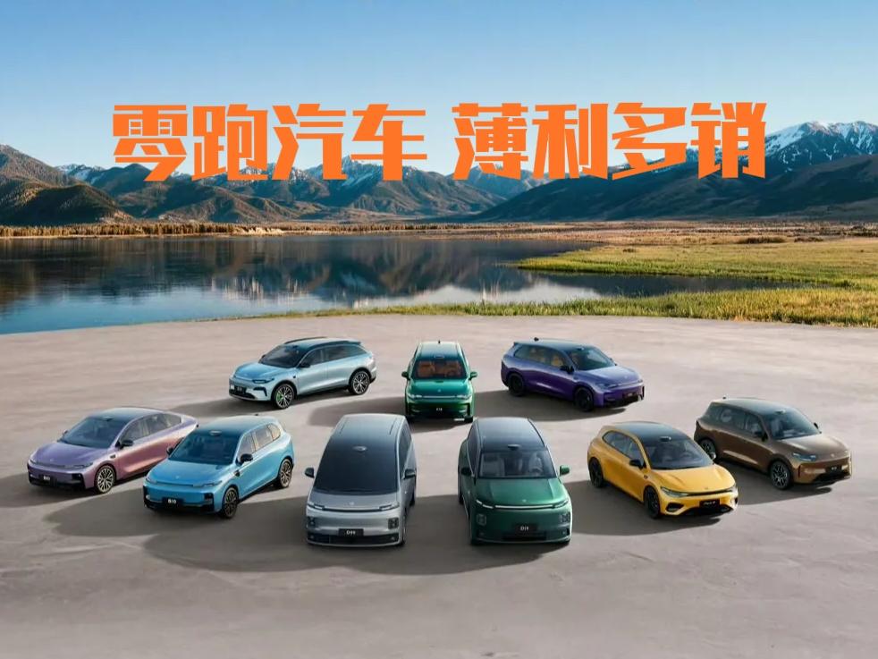 零跑汽车真正把“薄利多销”的精神发挥到了极致。上半年交付35.65万辆新车，每台