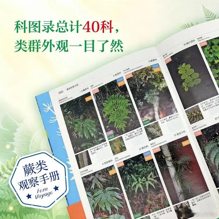 知書club 新书介绍丨这是一本包含中国本土常见石松类和蕨类植物的观察指南，共介