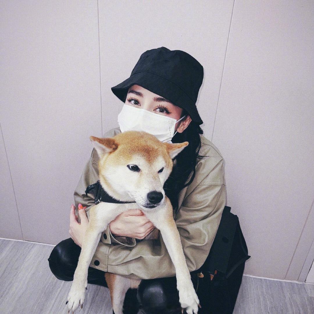 想和你养个狗狗 去楼下走走 