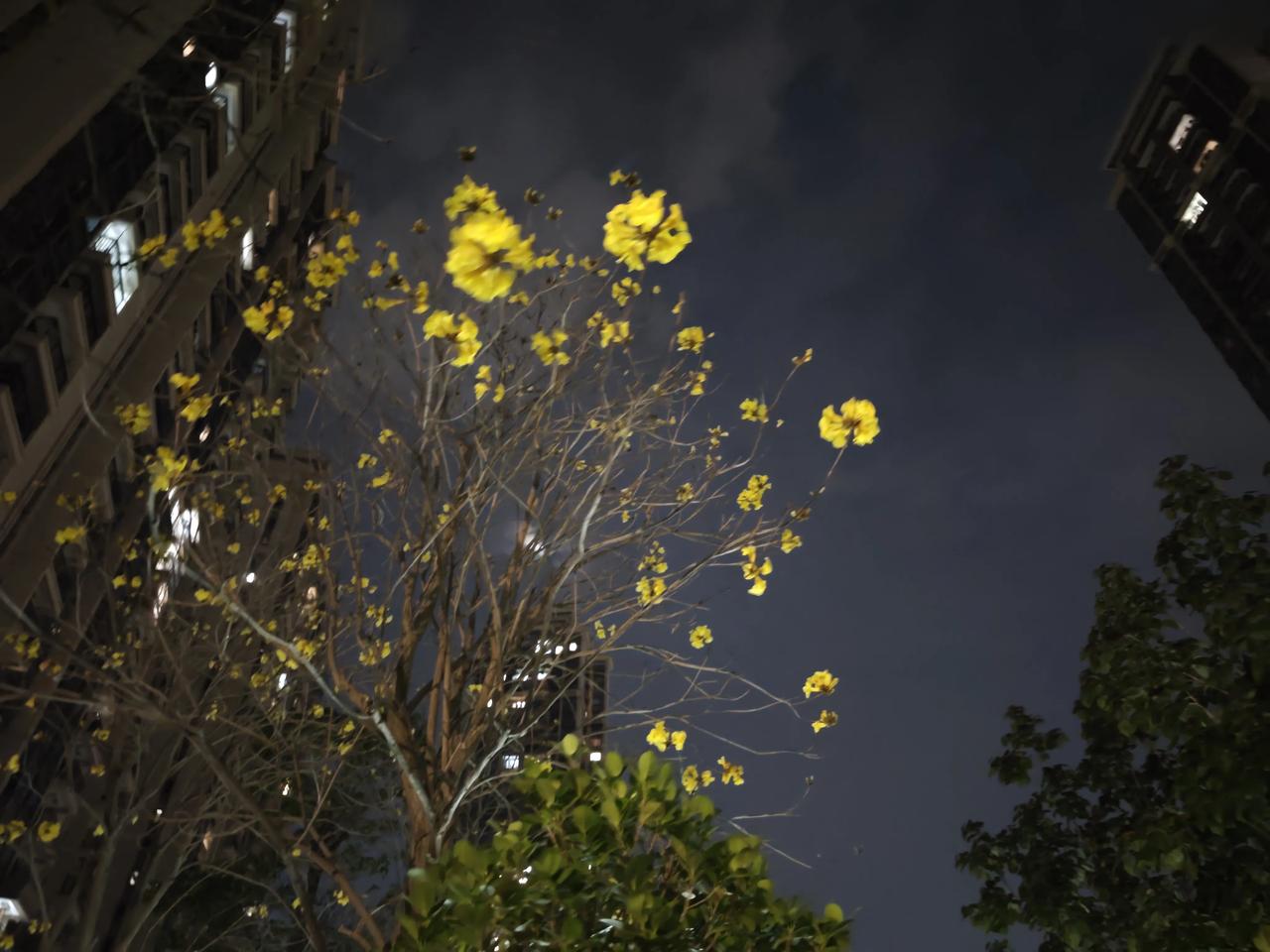 视频号里看到的：

妻子商量着说：我在家全职带娃，你负责家庭开支。
丈夫生气：那