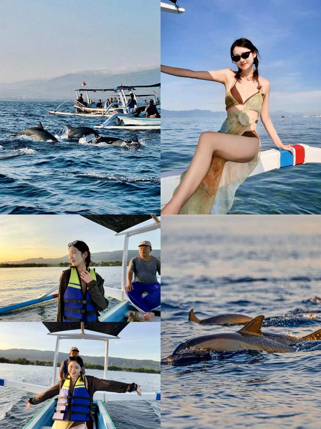 罗威纳追海豚🐬人均100r的快乐……谁懂啊‼️