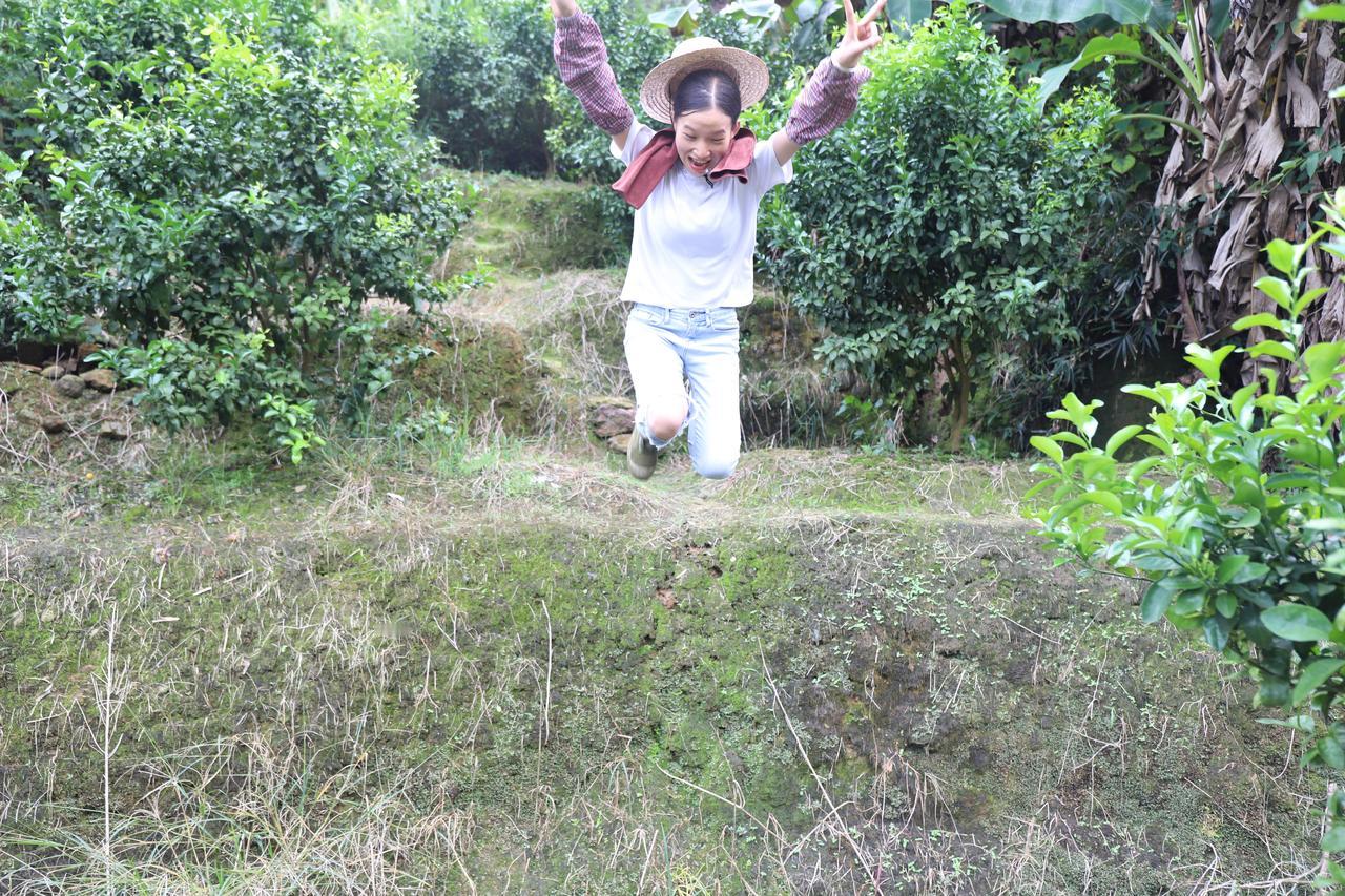 今天看看香蕉长大没有！