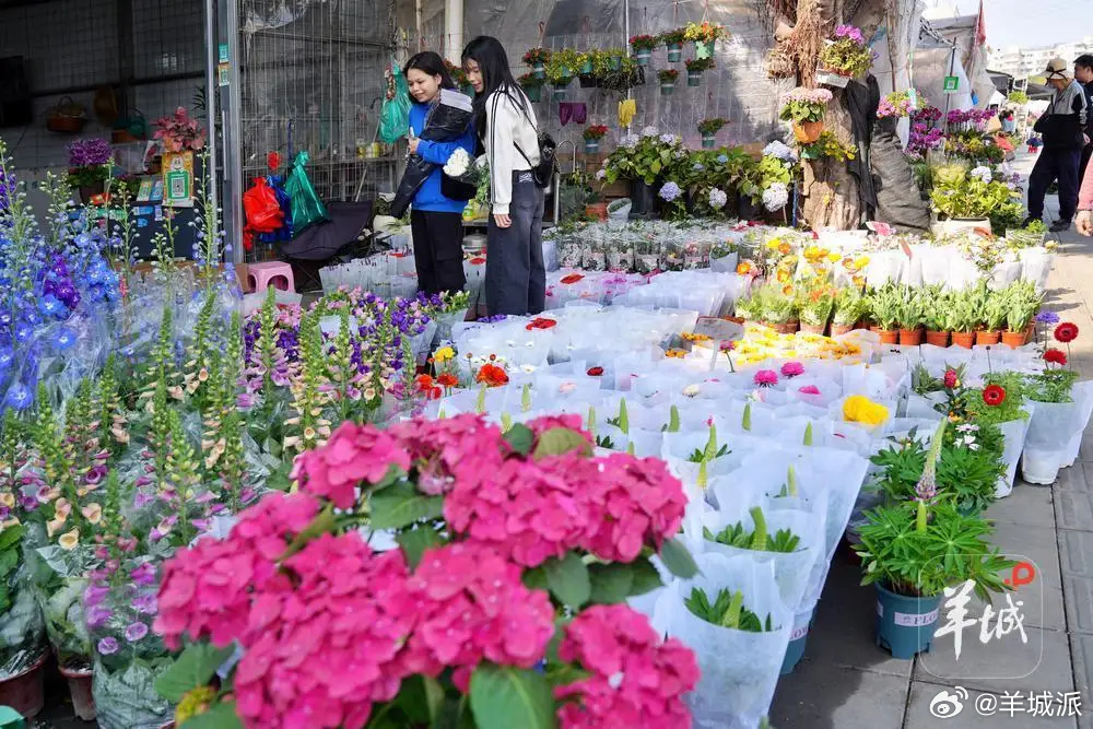 【跨年如何买到经济实惠年货？广州荔湾这些专业批发市场等你来帮衬】日前，广东省文化
