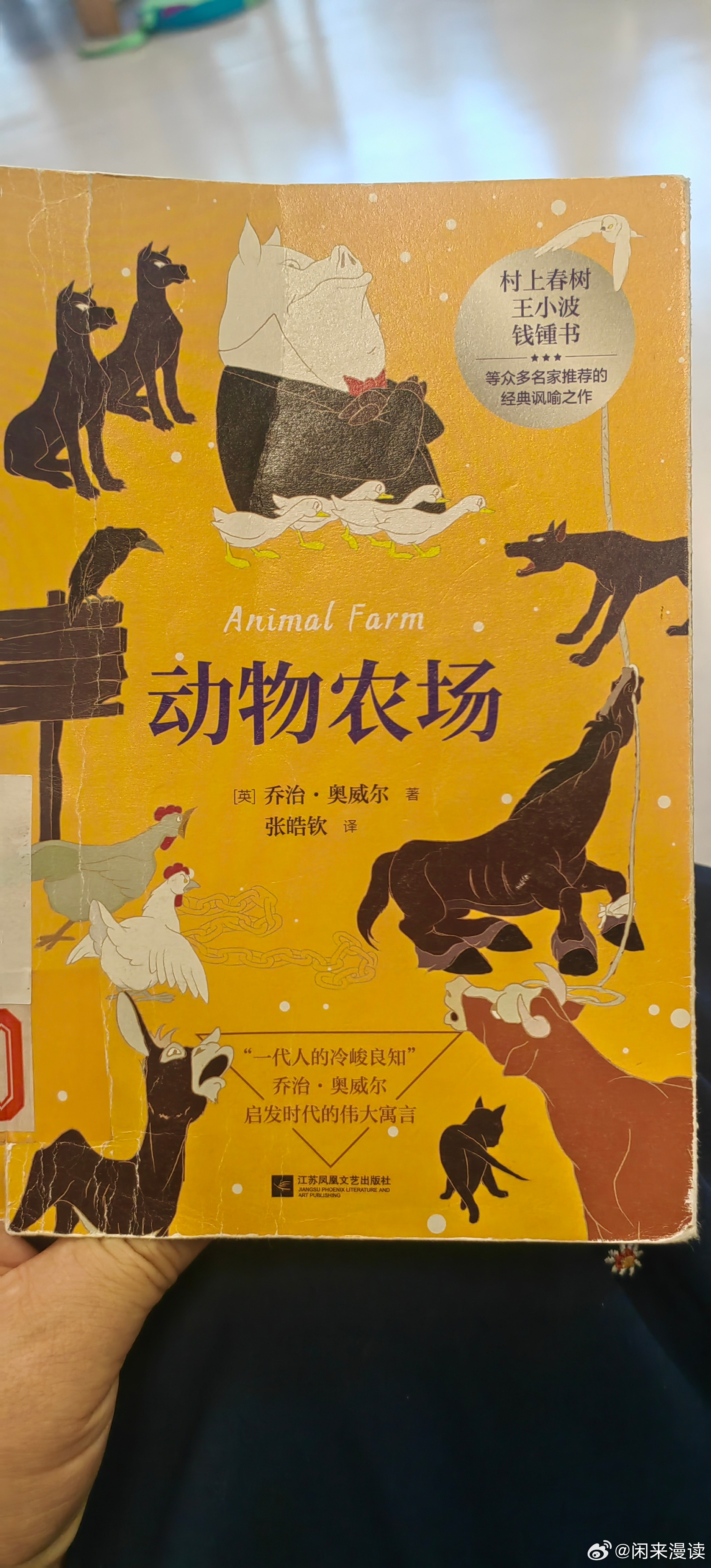 放暑假的娃 