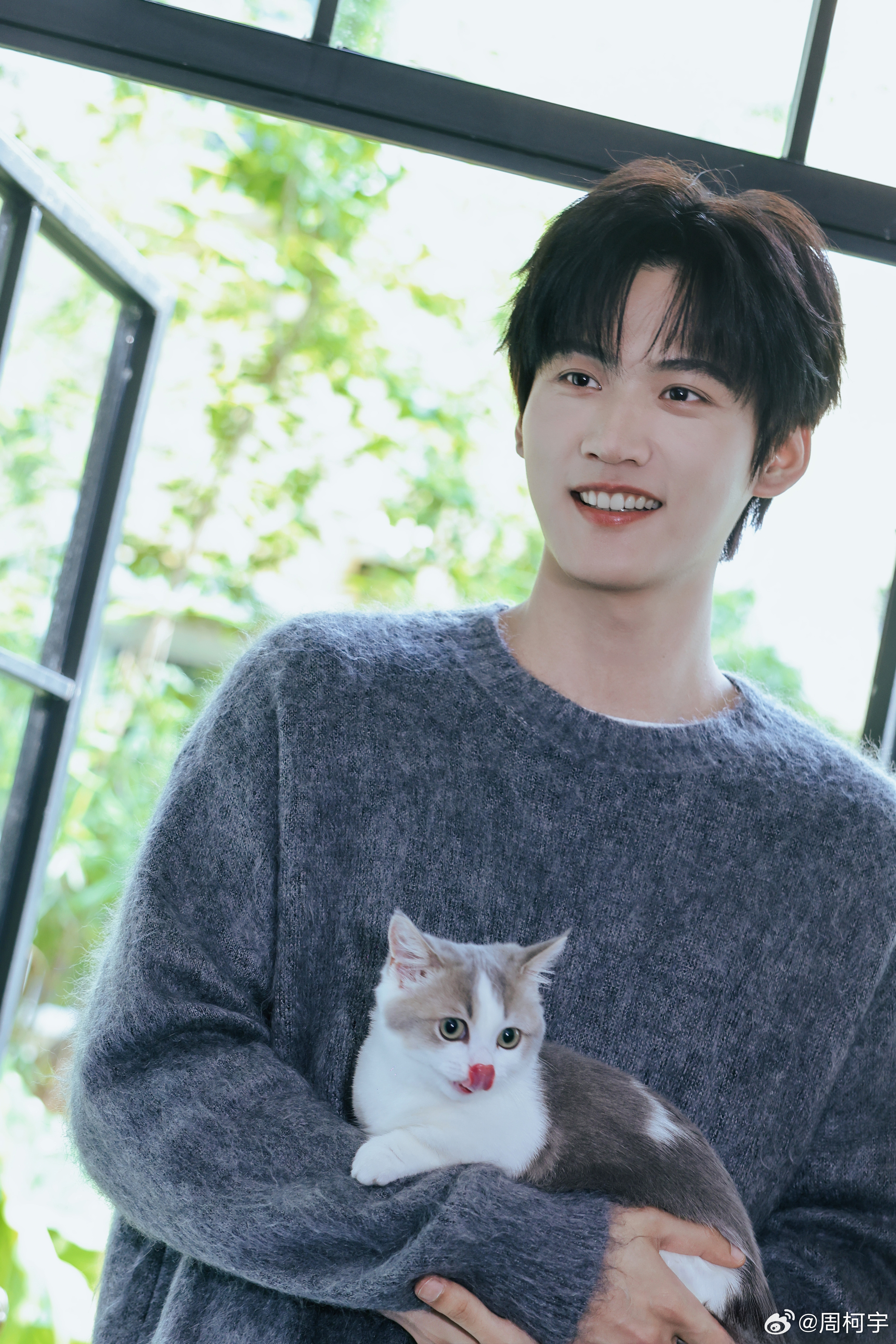 两只小猫🐱