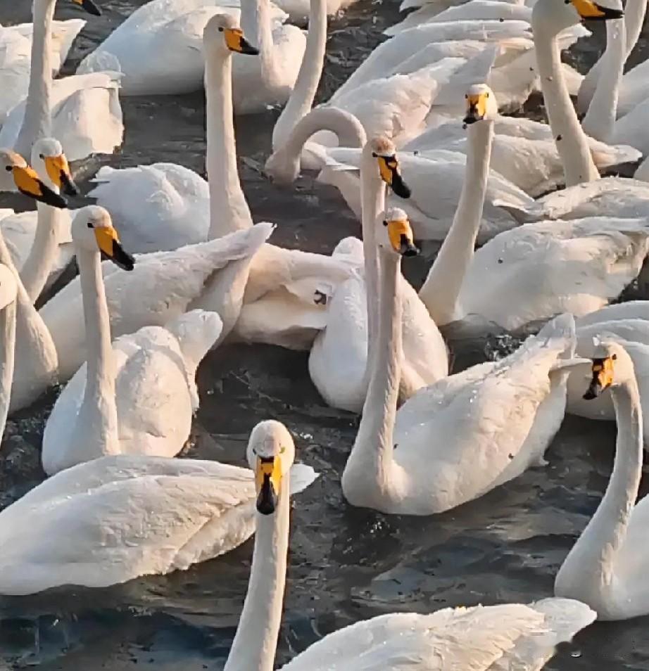 我想问头条一个问题，我一个朋友头条粉丝有40万左右，也是她个人很重要资产。她很担