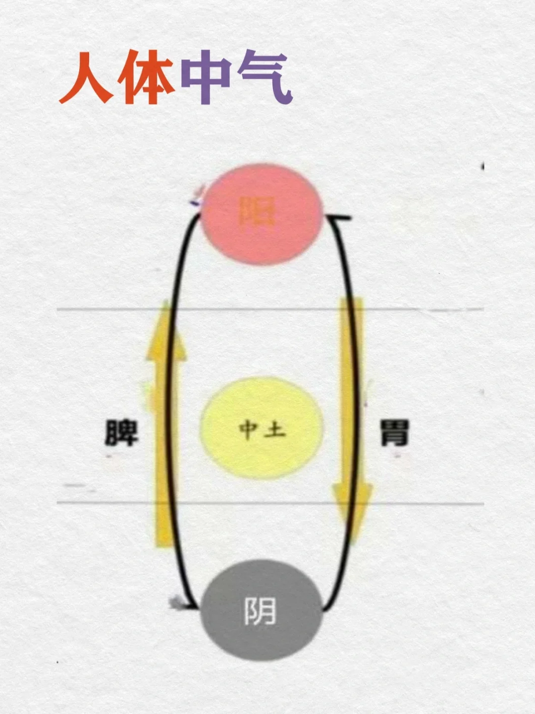 0基础学古中医22天｜中气升级