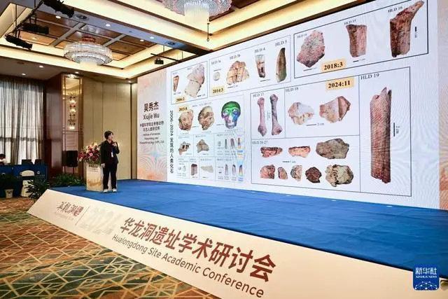【华龙洞人是东亚地区向智人演化的最早古人类】正在举行的2024华龙洞遗址学术研讨