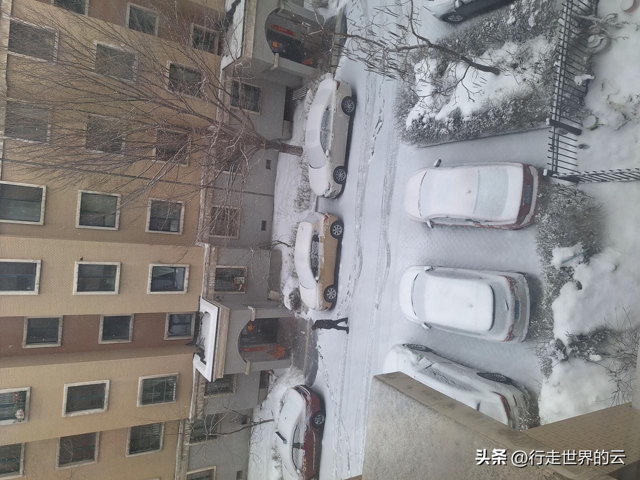 今天正月十二，周六，外面大雪纷飞，没法出去从事聚丙烯高分子合成材料再循环的工作了