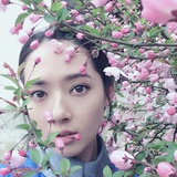 暖炫炫爱谈国际